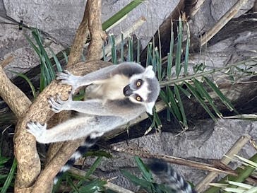 那須どうぶつ王国に投稿された画像（2020/7/19）