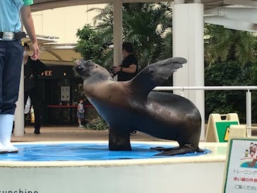 サンシャイン水族館に投稿された画像（2020/7/19）