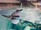 すみだ水族館に投稿された画像（2020/7/19）