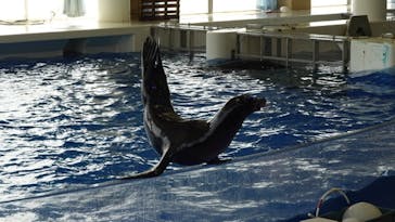 アクアワールド茨城県大洗水族館に投稿された画像（2020/7/19）