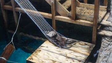 アクアワールド茨城県大洗水族館に投稿された画像（2020/7/19）