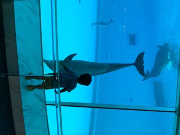 マリンワールド海の中道に投稿された画像（2020/7/19）