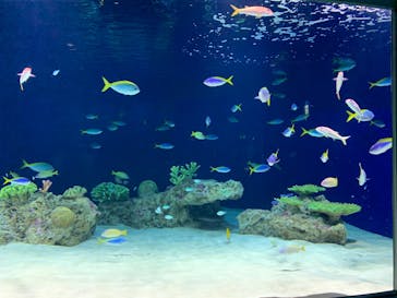 マリンワールド海の中道に投稿された画像（2020/7/19）