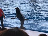 アクアワールド茨城県大洗水族館に投稿された画像（2020/7/19）