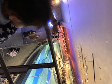 すみだ水族館に投稿された画像（2020/7/19）