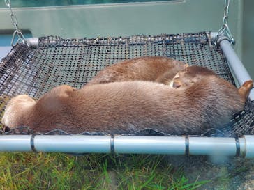 サンシャイン水族館に投稿された画像（2020/7/19）