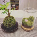 カルチャースクールいろはに投稿された画像（2020/7/19）