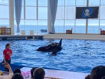 アクアワールド茨城県大洗水族館に投稿された画像（2020/7/19）
