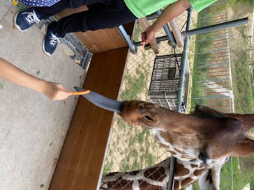 しろとり動物園に投稿された画像（2020/7/19）