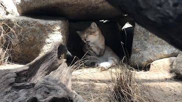 神戸どうぶつ王国に投稿された画像（2020/7/19）