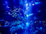 すみだ水族館に投稿された画像（2020/7/20）