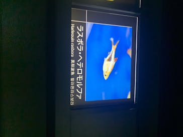 サンシャイン水族館に投稿された画像（2020/7/19）