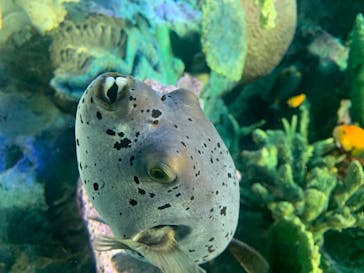 サンシャイン水族館に投稿された画像（2020/7/19）
