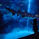 すみだ水族館に投稿された画像（2020/7/20）
