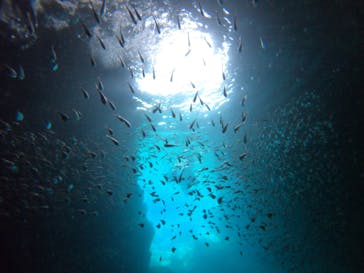 青の洞窟専門店　沖縄ダイビングショップ和に投稿された画像（2020/7/20）