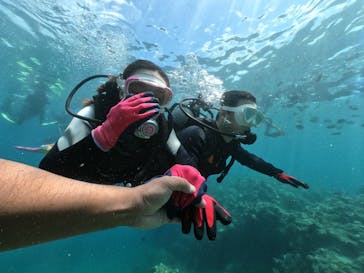 DIVING-SHOP SUNSに投稿された画像（2020/7/20）