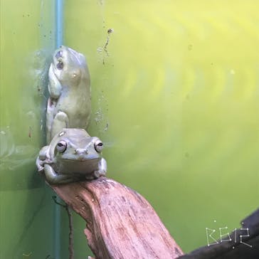 サンシャイン水族館に投稿された画像（2020/7/20）