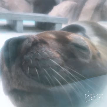 サンシャイン水族館に投稿された画像（2020/7/20）