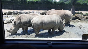 群馬サファリパークに投稿された画像（2020/7/20）