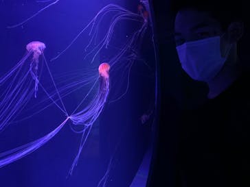 すみだ水族館に投稿された画像（2020/7/20）