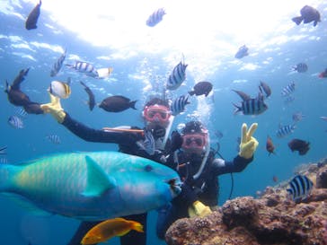 沖縄ダイビングショップシーモールに投稿された画像（2020/7/20）