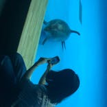 アクアワールド茨城県大洗水族館に投稿された画像（2020/7/20）