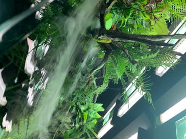 すみだ水族館に投稿された画像（2020/7/20）