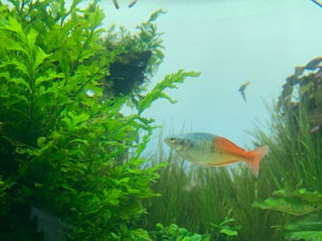 すみだ水族館に投稿された画像（2020/7/20）