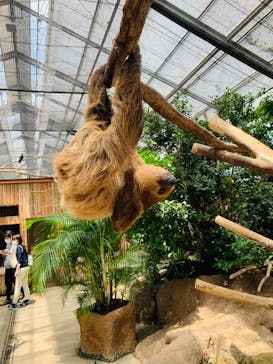 神戸どうぶつ王国に投稿された画像（2020/7/20）