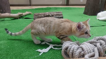 那須どうぶつ王国に投稿された画像（2020/7/20）