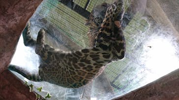 那須どうぶつ王国に投稿された画像（2020/7/20）