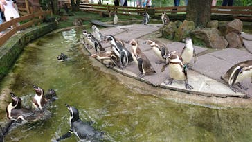 那須どうぶつ王国に投稿された画像（2020/7/20）