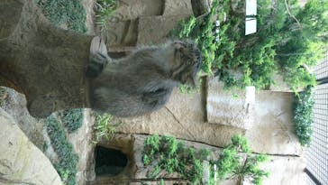 那須どうぶつ王国に投稿された画像（2020/7/20）