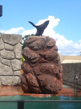 那須どうぶつ王国に投稿された画像（2020/7/20）