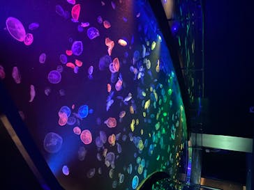 すみだ水族館に投稿された画像（2020/7/20）