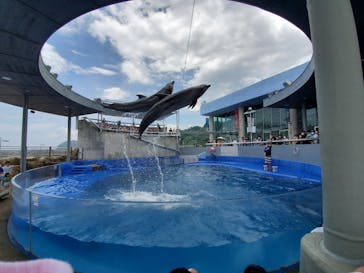 大分マリーンパレス水族館 「うみたまご」に投稿された画像（2020/7/21）