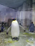仙台うみの杜水族館に投稿された画像（2020/7/21）