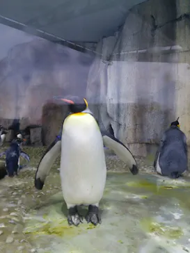 仙台うみの杜水族館に投稿された画像（2020/7/21）