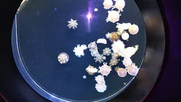 仙台うみの杜水族館に投稿された画像（2020/7/21）