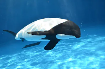 仙台うみの杜水族館に投稿された画像（2020/7/21）