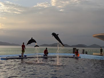 四国水族館に投稿された画像（2020/7/21）