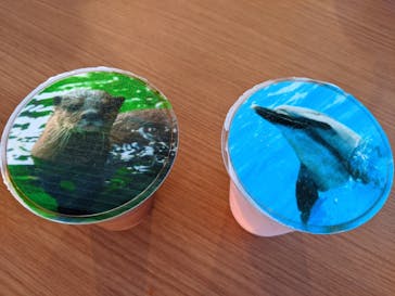 四国水族館に投稿された画像（2020/7/21）