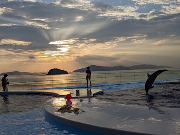 四国水族館に投稿された画像（2020/7/21）