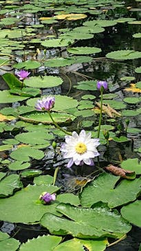 神戸どうぶつ王国に投稿された画像（2020/7/21）