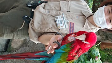 神戸どうぶつ王国に投稿された画像（2020/7/21）