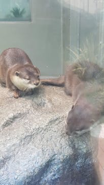 サンシャイン水族館に投稿された画像（2020/7/21）