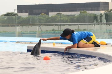 四国水族館に投稿された画像（2020/7/21）