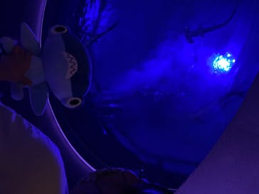 四国水族館に投稿された画像（2020/7/21）