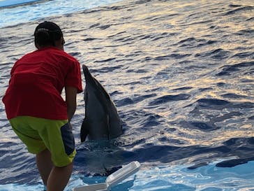 四国水族館に投稿された画像（2020/7/21）