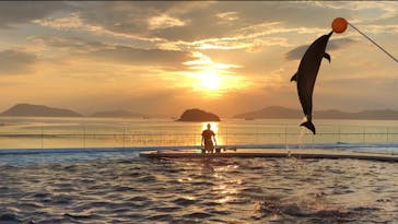 四国水族館に投稿された画像（2020/7/21）